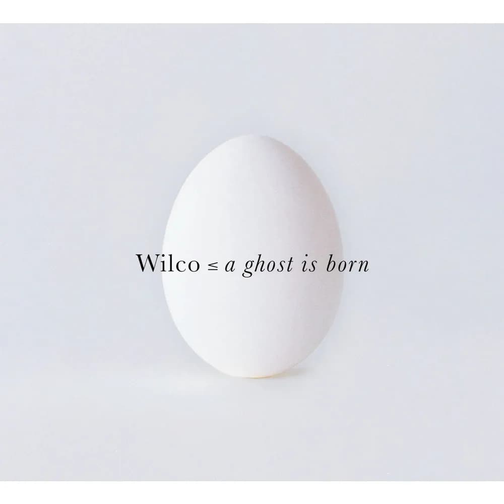 Wilco - A Ghost Is Born (Vinilo Doble 2LP nuevo) - Miniatura 1 en LEMM DJ Store