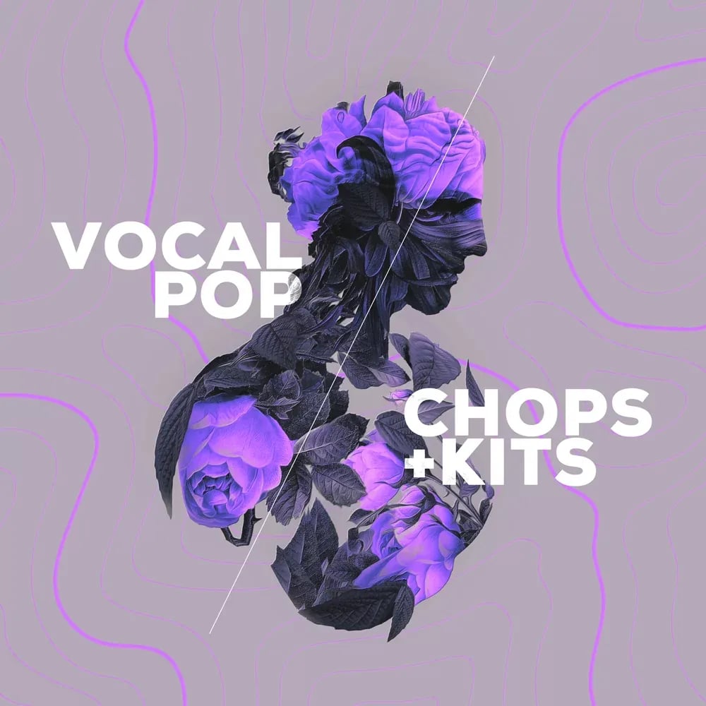 Audiomodern Vocal Pop – Pack de Expansión para Loopmix (Descarga Digital) - Variante en LEMM DJ Store