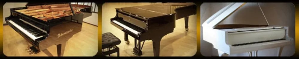 Best Service Galaxy III Pianos – tres grandes pianos de cola en Kontakt Player (Descarga Digital) - Variante en LEMM DJ Store