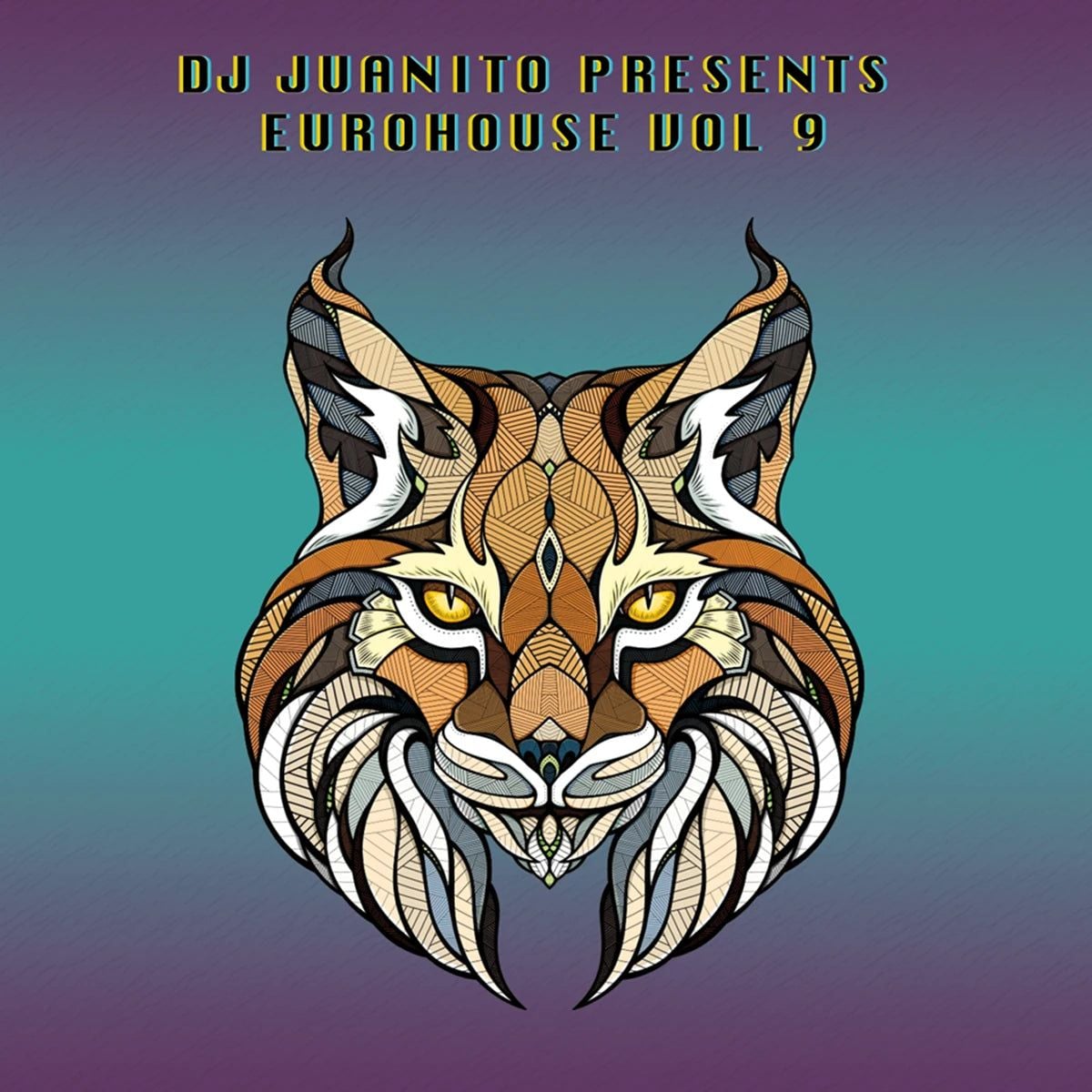 Dj Juanito Presents Euro House Vol 9 (Vinilo Nuevo) (formato europeo sin sellado plastico) - Variante en LEMM DJ Store