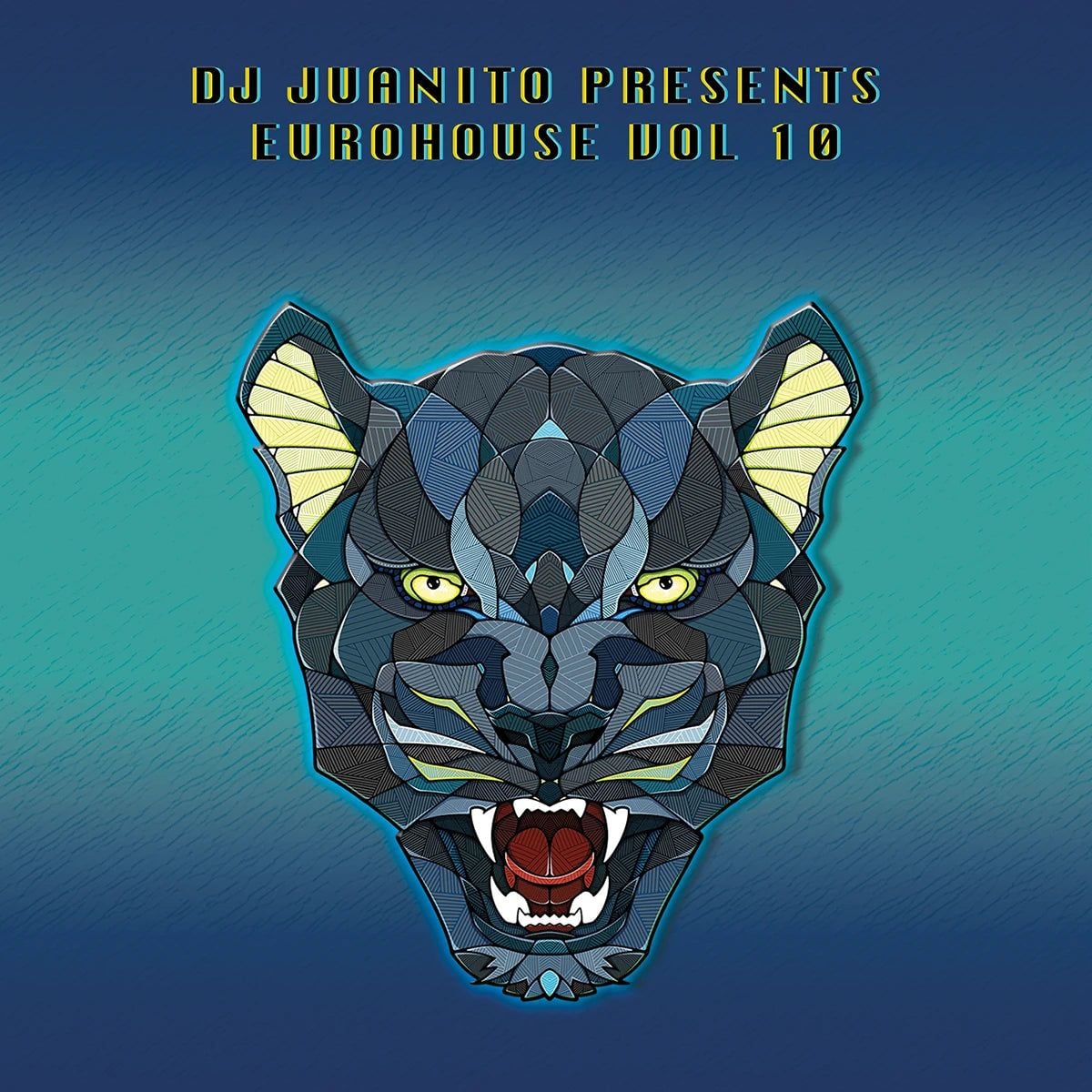 DJ Juanito Presents Euro House Vol 10 (Vinilo Nuevo) (formato europeo sin sellado plastico) - Variante en LEMM DJ Store
