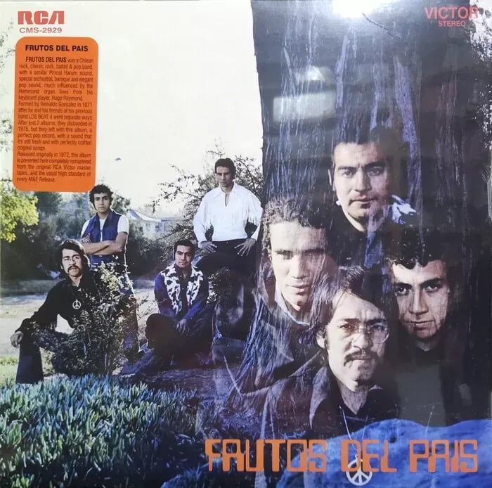 Frutos del País - Frutos Del País (Vinilo LP nuevo) - Variante en LEMM DJ Store
