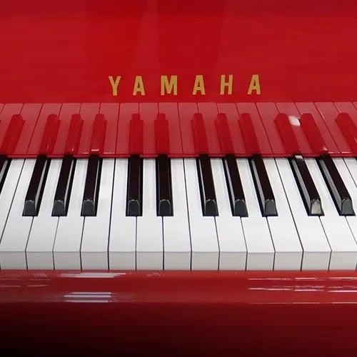 Pianos y Teclados