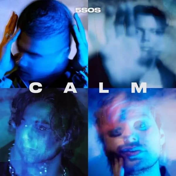 5SOS - Calm (Vinilo LP nuevo)