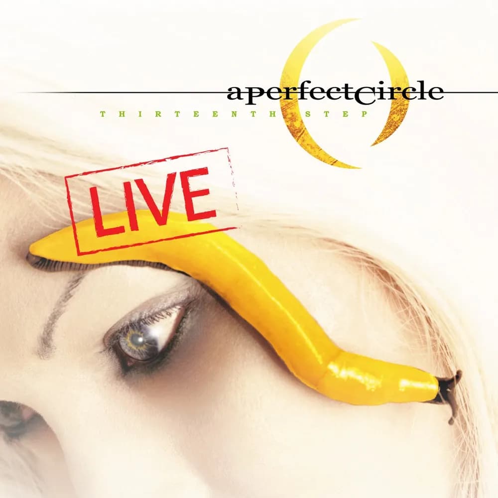 A Perfect Circle - Thirteenth Step (CD nuevo)