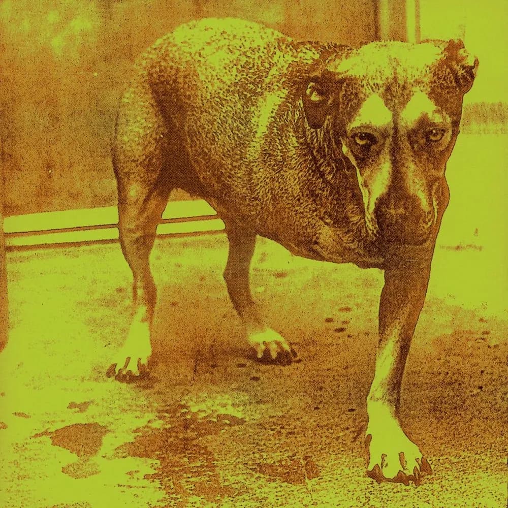 Alice In Chains - Alice In Chains (2LP nuevo)