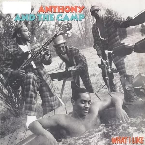 Anthony And The Camp - What I Like (Vinilo usado VG+)