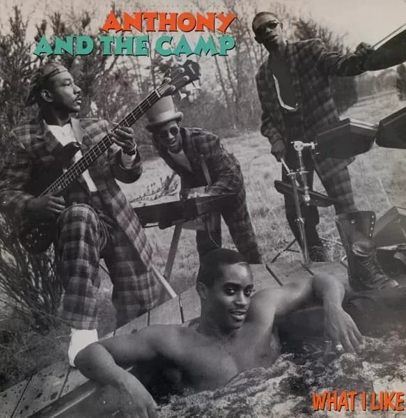 Anthony And The Camp - What I Like (Vinilo usado VG+)