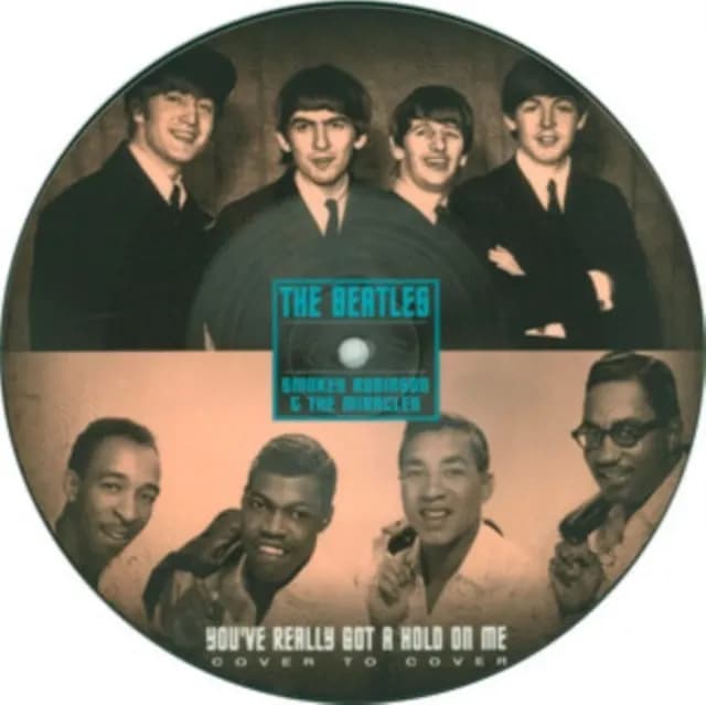 Beatles The-Smokey Robinson - You've Really Got A Hold On Me (Vinilo LP nuevo)