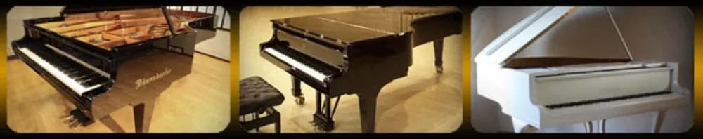 Best Service Galaxy III Pianos – tres grandes pianos de cola en Kontakt Player (Descarga Digital)