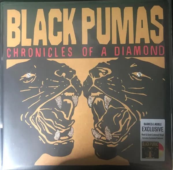 Black Pumas - Chronicles Of A Diamond (Vinilo LP nuevo)