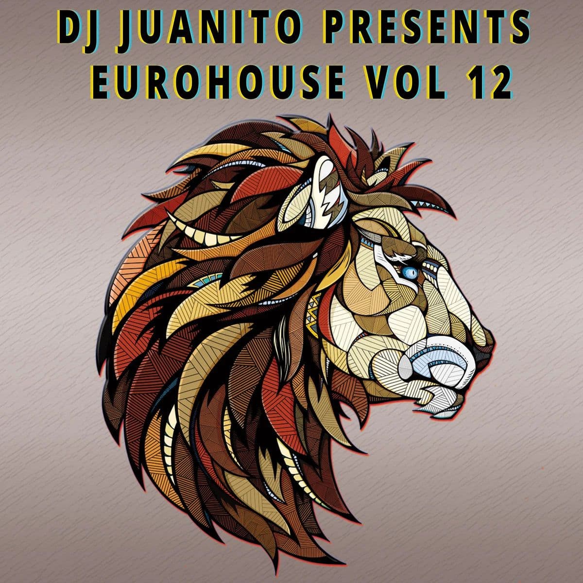 Dj Juanito Presents Euro House Vol 12 (Vinilo Nuevo) (formato europeo sin sellado plastico)
