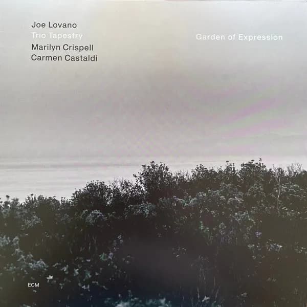 Joe Lovano Marilyn Crispell Carme Lp - Garden Of Expression (Vinilo LP nuevo)