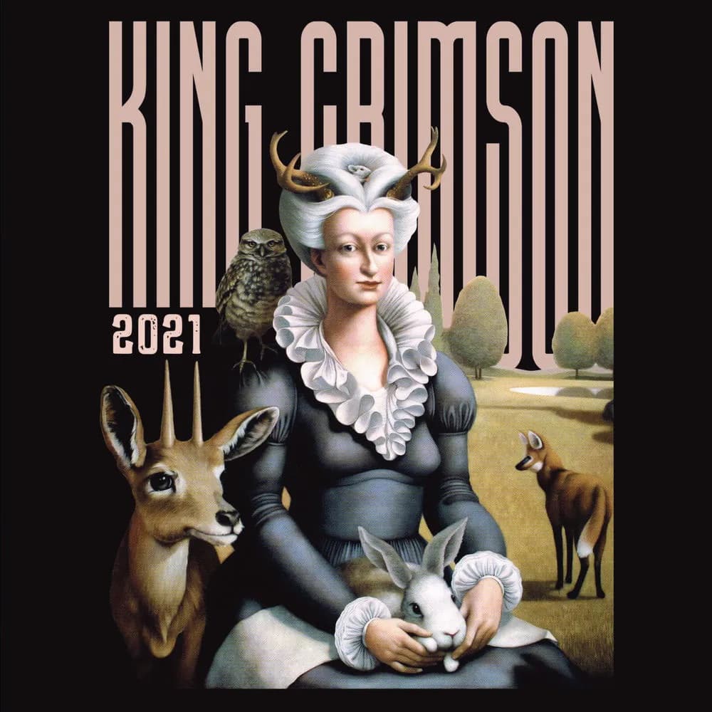 King Crimson - Music Is Our Friend (Live In Washington And Albany, 2021) (CD Doble 2CD nuevo)
