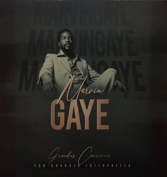 Marvin Gaye - Grandes Canciones Por Grandes Intérpretes (Vinilo LP nuevo)