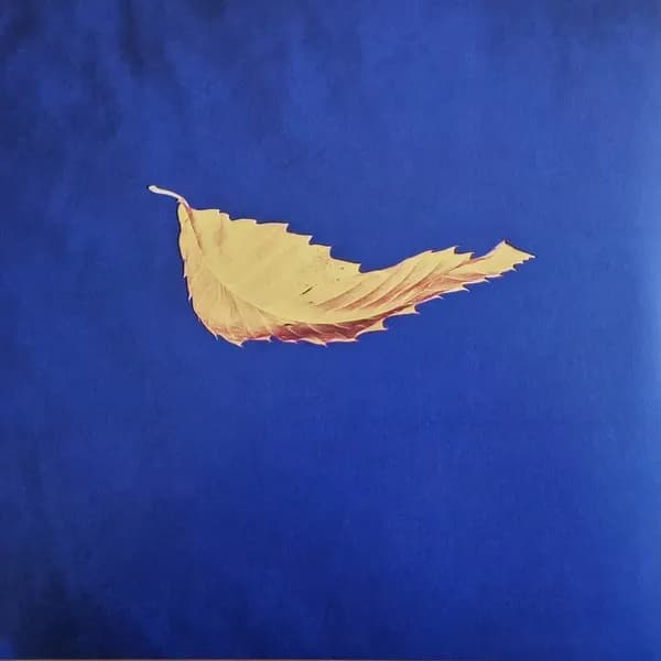 New Order - True Faith / 1963 (Vinilo LP nuevo)