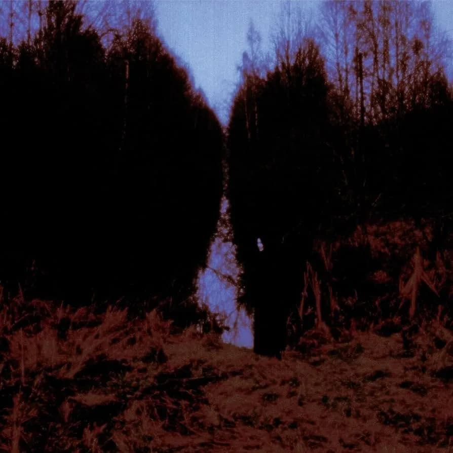 Opeth - My Arms, Your Hearse (Vinilo Doble 2LP nuevo)
