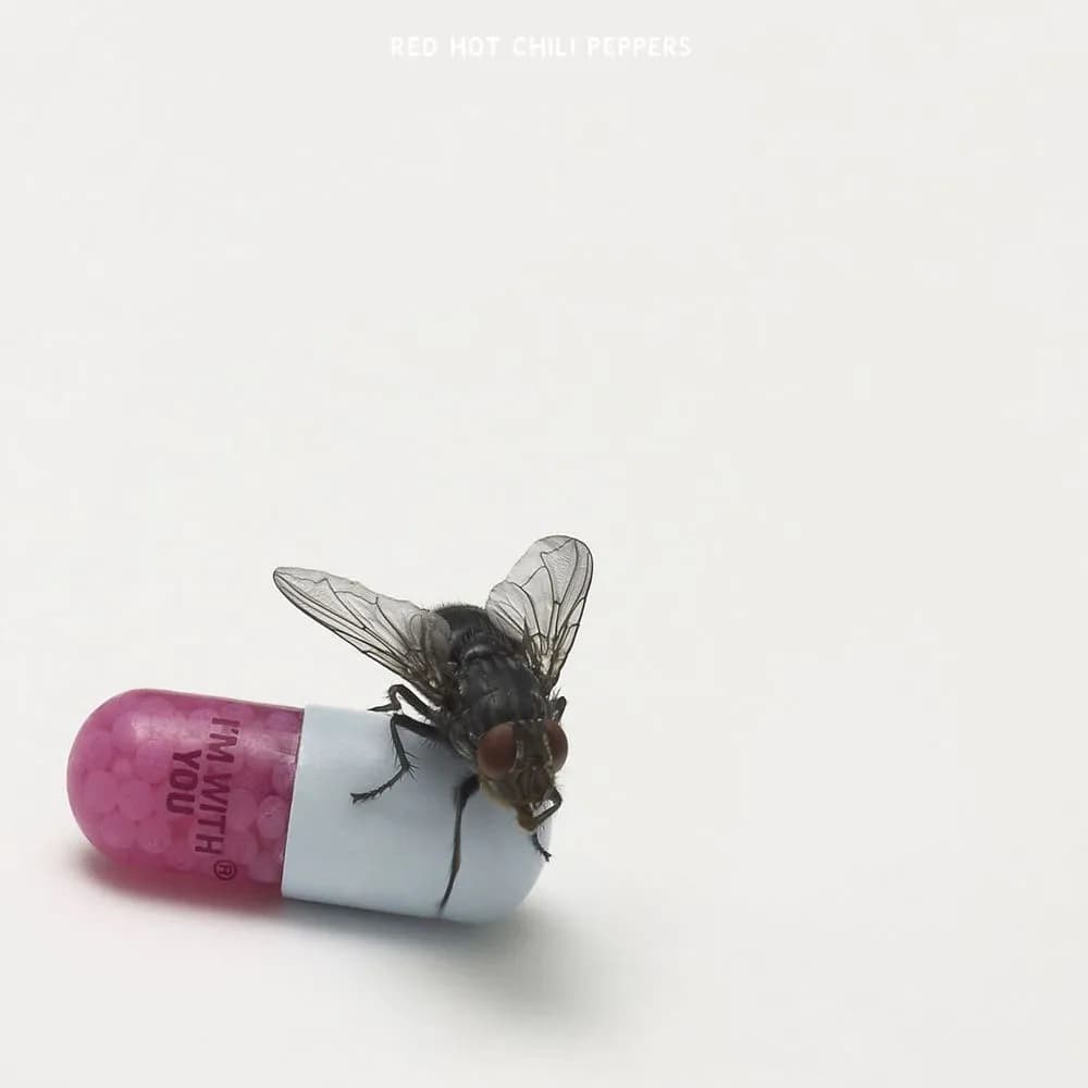 Red Hot Chili Peppers - I'm With You (CD nuevo)