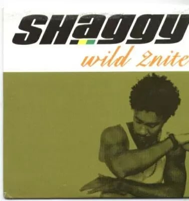 Shaggy Featuring Olivia – Wild 2nite (CD single carton usado VG+) - Variante en LEMM DJ Store