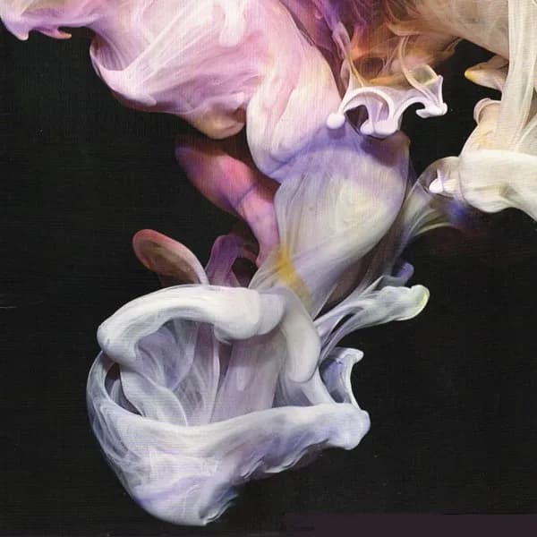 Simian Mobile Disco - Murmurations (Vinilo Doble 2LP nuevo)