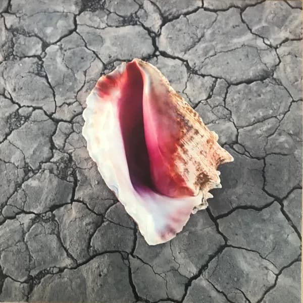 The Killers - Wonderful Wonderful (Vinilo LP nuevo)