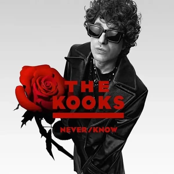 The Kooks - Never/know (Vinilo LP nuevo)