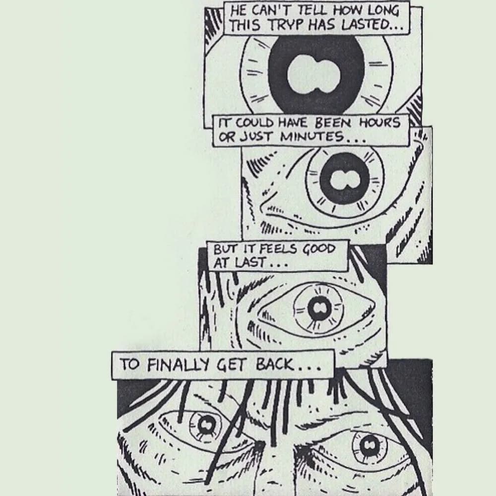 The Tryp (2) - My Brain Collapsed!! (Vinilo LP nuevo)