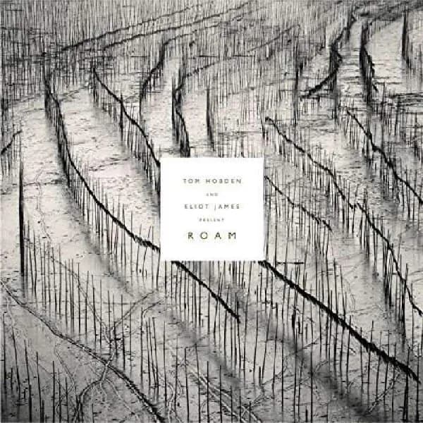 Tom Hobden & Eliot James - Present Roam (Vinilo LP nuevo)