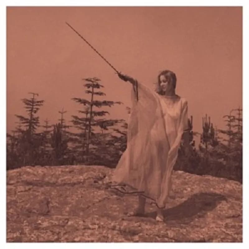 Unknown Mortal Orchestra - Ii (Vinilo LP nuevo)
