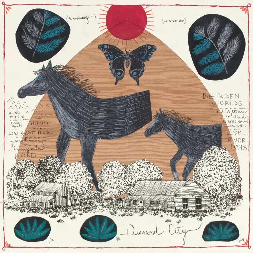 Will Johnson - Diamond City (Vinilo LP nuevo)